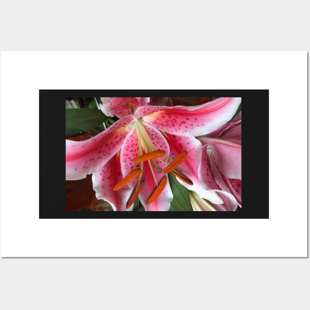 Ever Fragrant Dancing Pink Easter Lily Wall Art by Photomersion